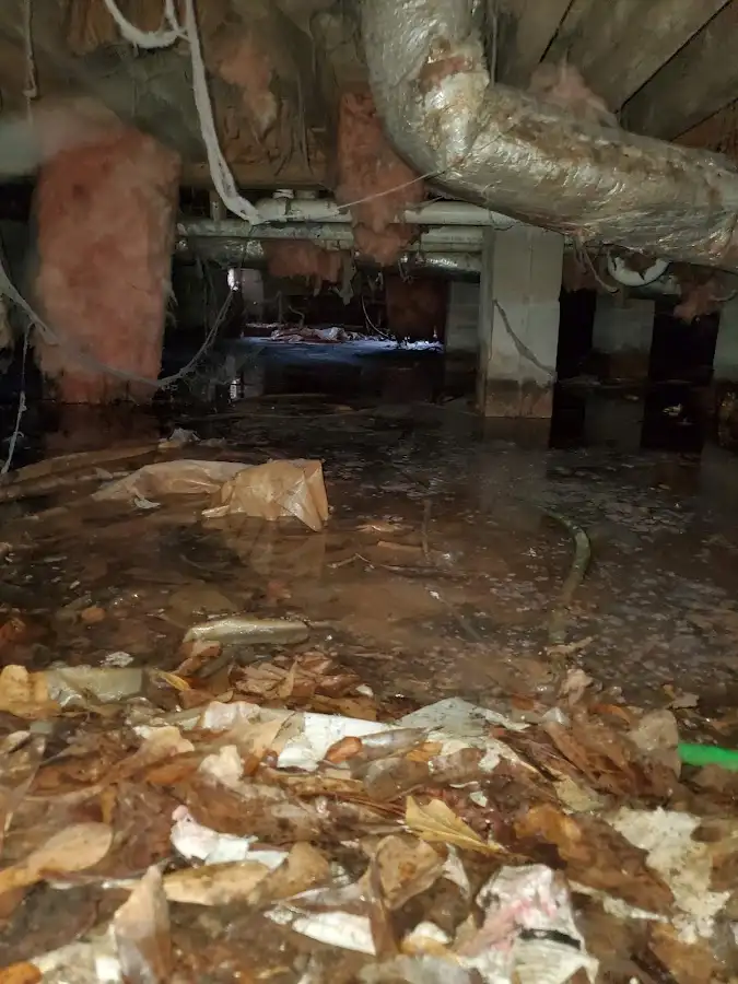 Crawl space flood assessment for Commercial Water Damage Restoration in New Castle